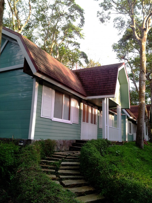 2012-08-11 17.54-2.jpg