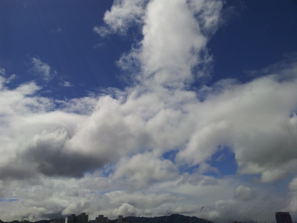 章魚哥漫步在雲端2