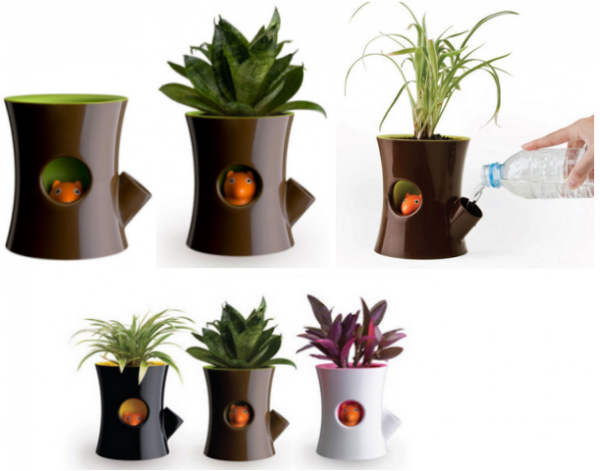 忠實小松鼠幫你觀察盆栽水分含量~ 當松鼠出現在洞口，代表水分充足；如果它不見了，就.png